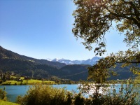 IMG_1656
